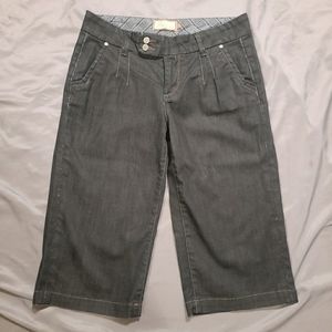 PAIGE Bermuda/Capris